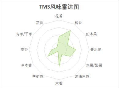 TMS—馬踏青風